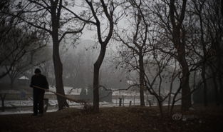 落叶室内写真,落叶室内写真中的诗意时光