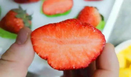 小姐姐丹东草莓,小姐姐的甜蜜诱惑之旅